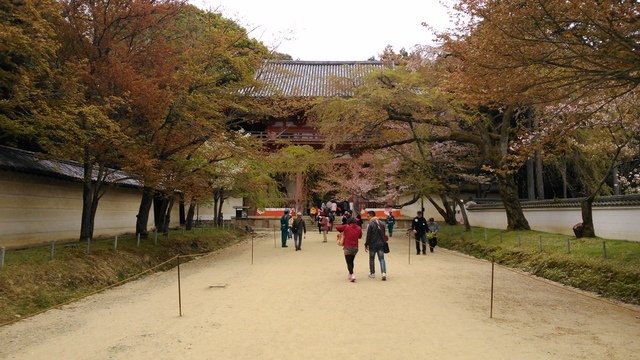 2014京阪神奈賞櫻六日行-Day 4 醍醐寺　