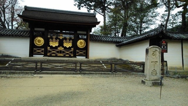 2014京阪神奈賞櫻六日行-Day 4 醍醐寺　