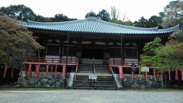 2014京阪神奈賞櫻六日行-Day 4 醍醐寺　