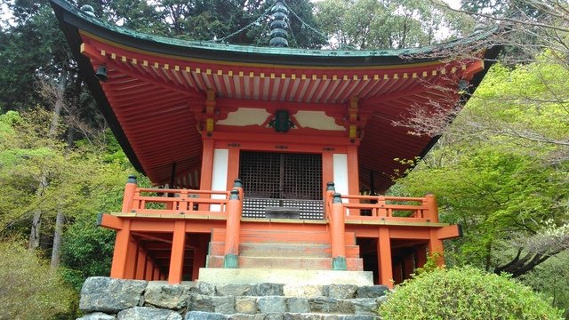 2014京阪神奈賞櫻六日行-Day 4 醍醐寺　