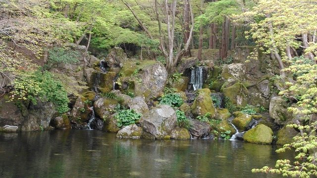 2014京阪神奈賞櫻六日行-Day 4 醍醐寺　