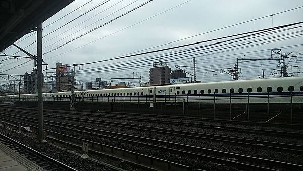 DSC_3805.JPG