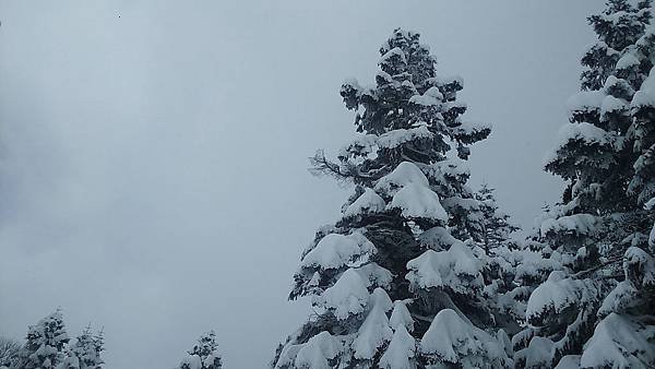 DSC_3942.JPG
