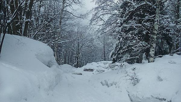 DSC_3955.JPG