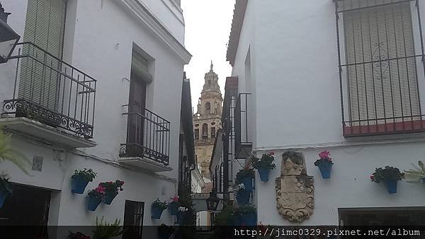 DSC_3081.JPG