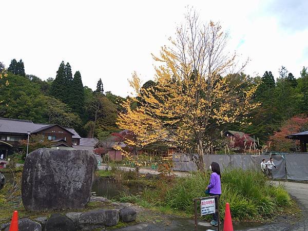 2022 日本東北初體驗 奧入瀨溪