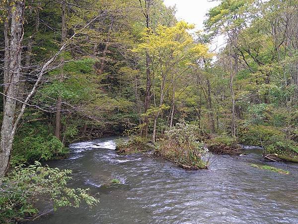 2022 日本東北初體驗 奧入瀨溪