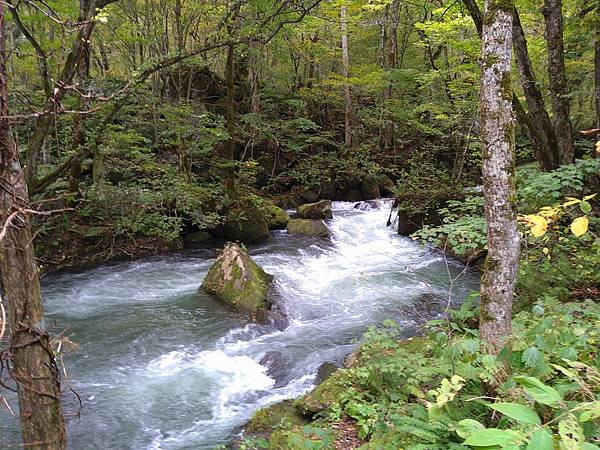 2022 日本東北初體驗 奧入瀨溪