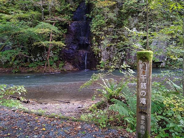 2022 日本東北初體驗 奧入瀨溪