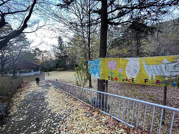 2023 韓國釜山痛風之旅 大邱 烤腸一條街