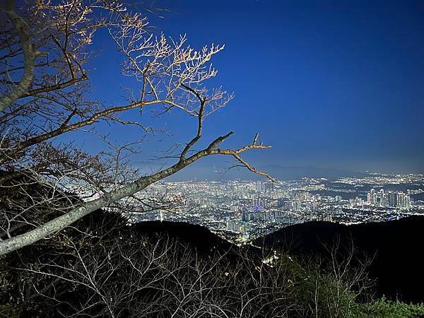 2023 韓國釜山痛風之旅 大邱 前山公園夜景