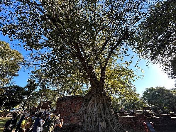 2023 曼谷Pattaya跨年行 瑪哈泰寺&amp;柴瓦塔那蘭寺