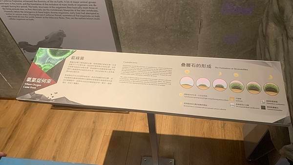 IMG_3808.JPEG