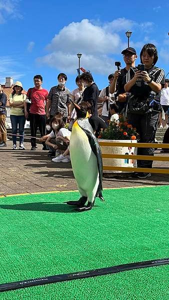 【2023北海道】登別海洋公園尼克斯，半日玩法、表演全攻略｜