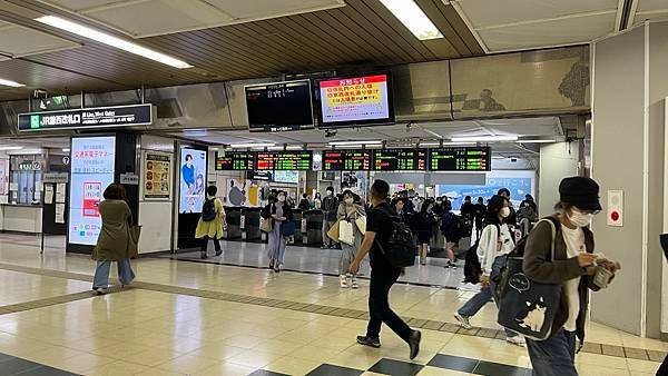 【2023北海道】搭JR富良野、美瑛一日遊玩法分享