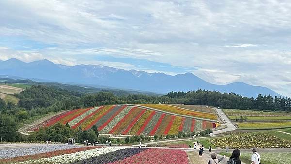 【2023北海道】搭美遊巴士暢玩美瑛！新榮之丘展望公園 四季