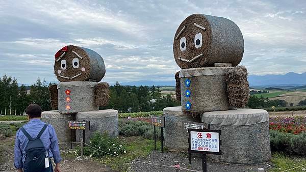 【2023北海道】搭美遊巴士暢玩美瑛！新榮之丘展望公園 四季