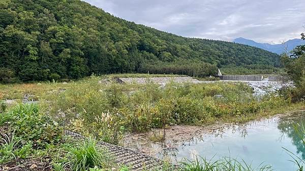 【2023北海道】搭美遊巴士暢玩美瑛！新榮之丘展望公園 四季