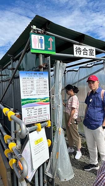 【2023北海道】富良野・美瑛慢車號｜JR北海道夏日限定觀光