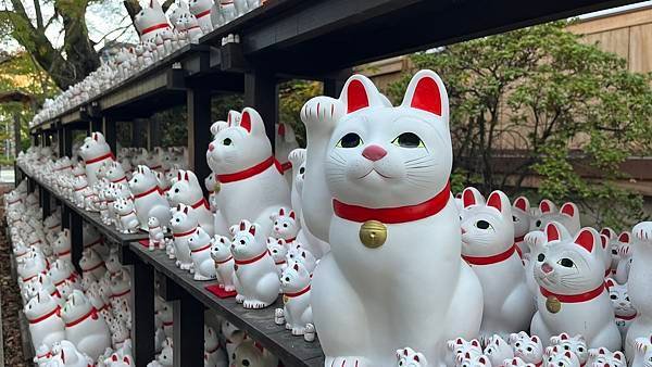 東京豪德寺招福貓神社｜世田谷的招財打卡聖地，來祈求好運吧！