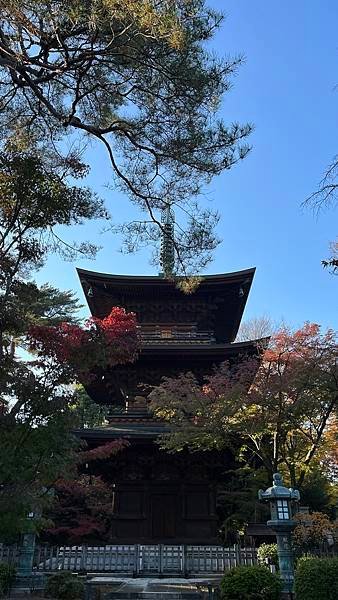 東京豪德寺招福貓神社｜世田谷的招財打卡聖地，來祈求好運吧！