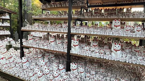 東京豪德寺招福貓神社｜世田谷的招財打卡聖地，來祈求好運吧！