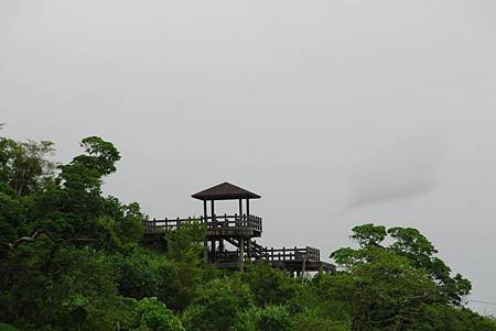 12-金針山-.JPG