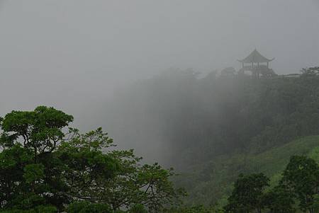 22-金針山-.JPG