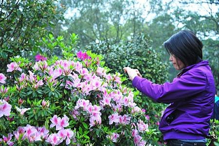 36-淡水天元宮-.JPG