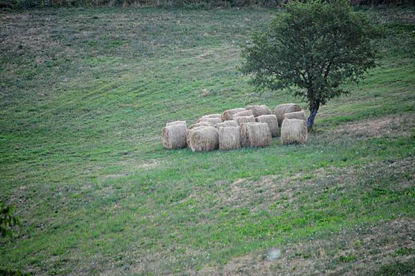 473-Toscana-田野－_resize.jpg