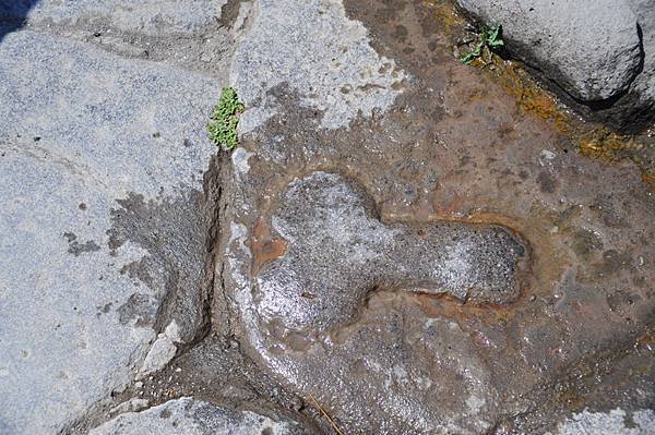 254--Pompeii-妓院_resize.JPG