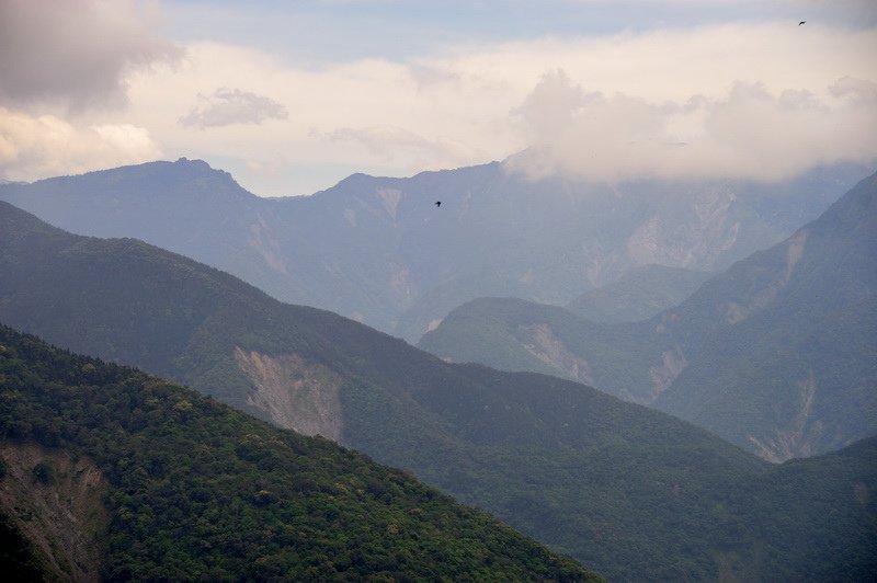 35-鳴海山-登頂.jpg