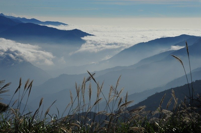 17-觀霧-樂山林道6K-雲海.JPG