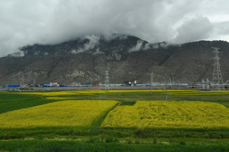 1565-青藏鐵路之旅--_.JPG