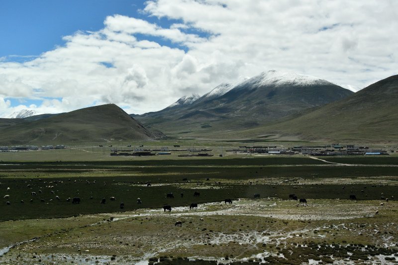 1578-青藏鐵路之旅--_.JPG