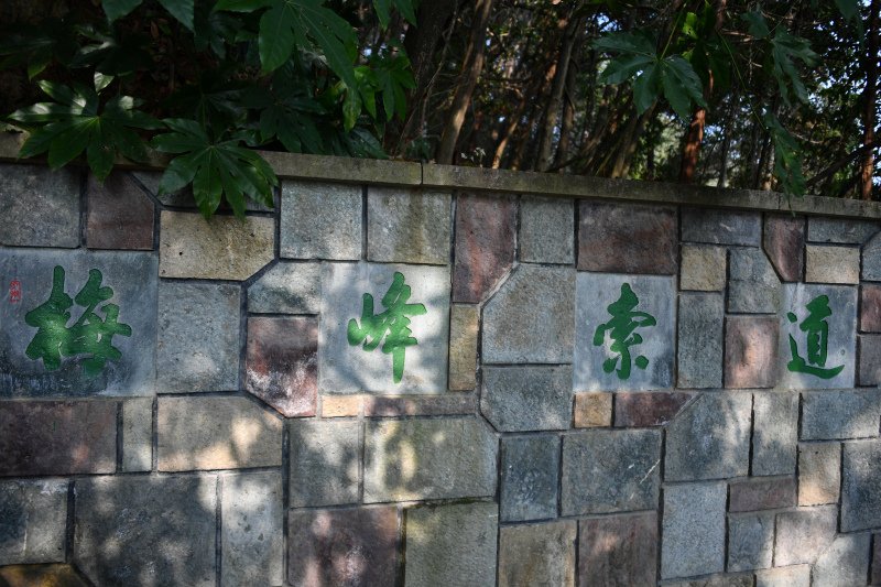 331-千島湖-梅峰島--_.JPG