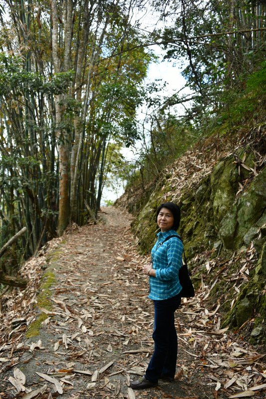 121-柳家梅園-往後山--_.JPG