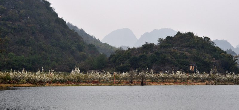 302-丘北-普者黑--_.JPG