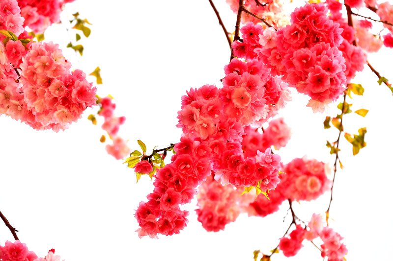 861-昆明市-洛龍公園--_.JPG