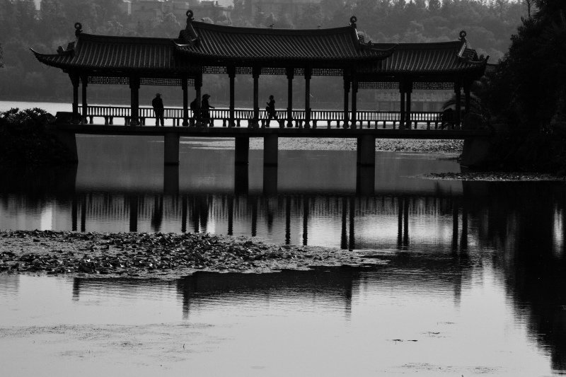 866-昆明市-洛龍公園- 2-_.JPG