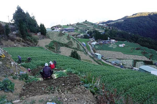 91-day-2-往合歡溪步道-.JPG