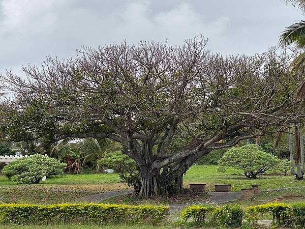 139-day1-往杉原海岸.JPG