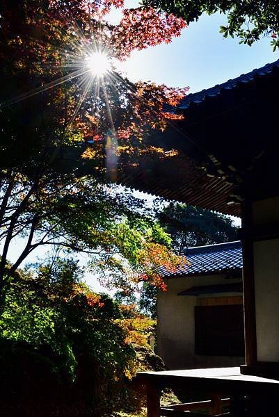 72-D2-寂光院-.JPG