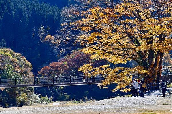 318-D4~5-白川鄉合掌村-.JPG