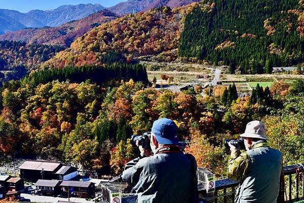 315-D4~5-白川鄉合掌村-觀景台-.JPG