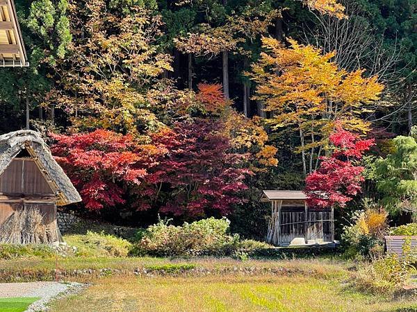 360-D4~5-白川鄉合掌村-.JPG