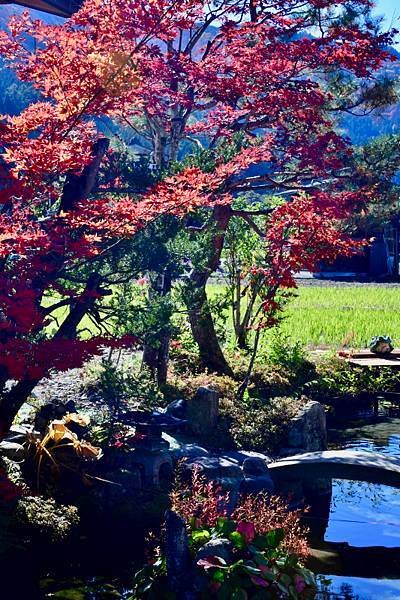 365-D4~5-白川鄉合掌村-.JPG