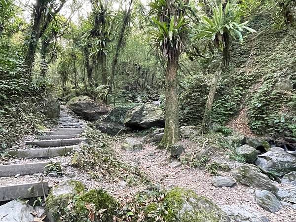 47-抹茶山-------登山、旅遊、泡湯