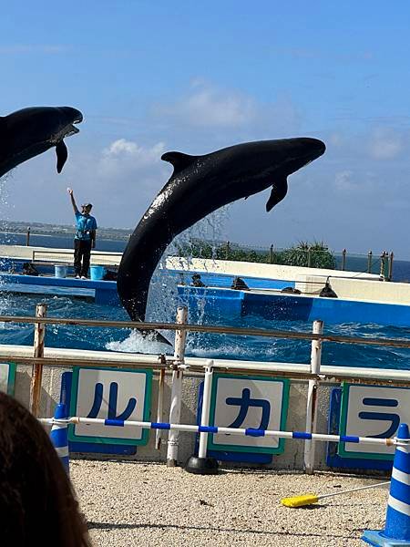 78-沖繩水族館.JPG