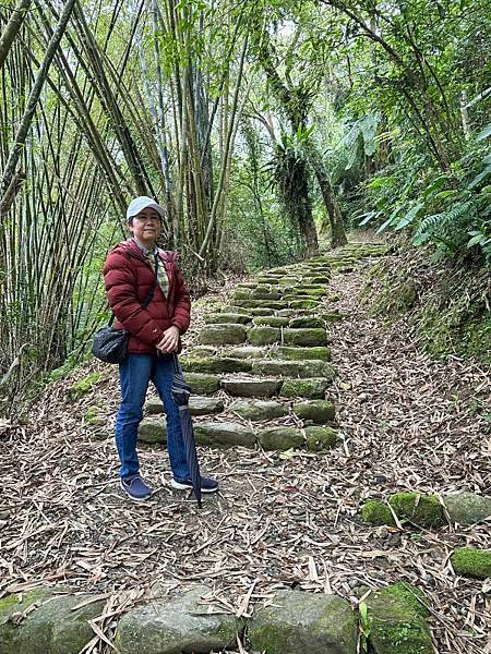 61-全家花東三日行     台九線—池上—富源森林--瑞穗